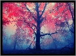 Drzewo, Mgła, Jesień