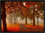 Park, Alejki, Latarnie, Mgła, Liście, Jesień