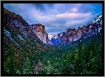 Stany Zjednoczone, Kalifornia, Park Narodowy Yosemite, Góry, Las, Drzewa, Mgła