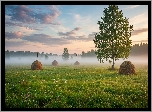 Łąka, Mgła, Poranek, Snopki, Siano