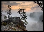 Poranek, Skała, Drzewa, Sosny, Mgła, Park Narodowy Saskiej Szwajcarii, Powiat Sachsische Schweiz-Osterzgebirge, Niemcy