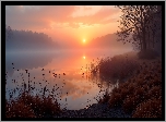 Wschód słońca, Jezioro, Mgła, Drzewa, Rośliny