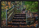 Stany Zjednoczone, Stan Connecticut, Miasto Kent, Park stanowy Kent Falls, Schody, Liście, Drzewa, Jesień