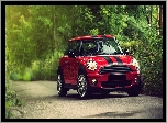 Mini, Cooper, Drzewa, Droga