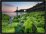 Latarnia morska Phare du Petit Minou, Plouzane, Francja, Most, Morze, Wodorosty, Kamienie
