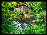 Młyn, Cedar Creek Grist Mill, Rzeka, Drzewa, Las, Woodland, Stan Waszyngton, Stany Zjednoczone