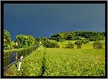 Mokra, Droga, Pola, Lato