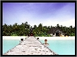 Molo, Dom, Ocean, Angsana Velavaru, Malediwy