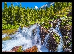Stany Zjednoczone, Stan Montana, Park Narodowy Glacier, Wodospad Redrock Falls, Rzeka, Drzewa, Kamienie