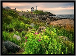 Morze, Wybrzeże, Latarnia morska, Nubble Lighthouse, Skały, Rośliny, Cape Neddick, Maine, Stany Zjednoczone