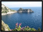 Morze, Skały, Kwiatki, Amalfi, Włochy