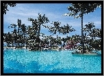 Morze, Palmy, Basen, Bali