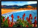 Morze, Plaża, Góry, Kwiaty, Aloes