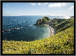 Morze, Zatoka, Plaża, Góry, Trawa