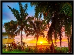 Hawaje, Morze, Palmy, Wschód słońca, Wieża ratownicza