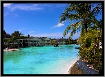 Hotel, Morze, Palmy