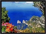 Morze, Skały, Kwiatki, Capri