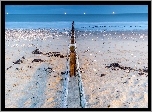 morze, plaża, lato, kamienie