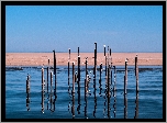 Morze, Plaża, Pale, Ptaki