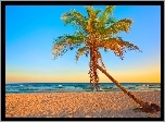 Palma, Morze, Plaża
