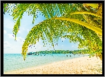 Lato, Morze, Palmy, Plaża, Molo