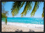 Palmy, Liście, Plaża, Morze