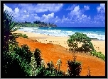 Morze, Plaża, Palmy, Obłoki
