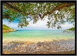 Morze, Plaża, Piasek, Drzewa