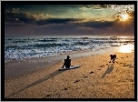 Morze, Plaża, Pies, Surfer
