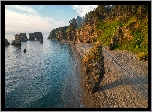Wybrzeże, Morze, Plaża, Skały, Drzewa