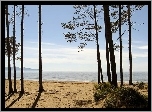 Plaża, Morze, Drzewa