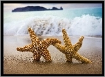 Plaża, Morze, Gwiazdy