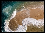 Morze, Ptaki, Plaża, Francja