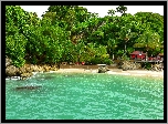 Morze, Plaża