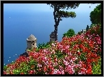 Morze, Kwiaty, Ravello, Włochy
