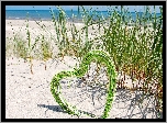 Morze, Plaża, Piasek, Trawy, Serce, Sznurek