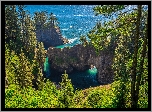 Skały, Most skalny, Drzewa, Morze, Punkt widokowy, Natural Bridges Viewpoint, Brookings, Oregon, Stany Zjednoczone