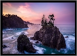 Morze, Skały, Drzewa, Wysepka, Wybrzeże, Wschód słońca, Park stanowy, Samuel H Boardman State Scenic Corridor, Oregon, Stany Zjednoczone