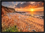 Morze, Plaża, Zachód, Słońca, Trawa