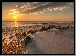 Morze, Plaża, Zachód słońca, Trawy