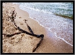 Morze, Bałtyk, Plaża, Fale, Uschnięta, Gałąź