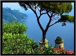 Morze, Drzewo, Ravello, Włochy, Wybrzeże