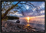 Morze, Brzeg, Kamienie, Drzewo, Zachód, Słońca