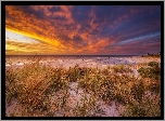 Morze, Plaża, Wydmy, Trawa, Zachód słońca