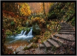 Las, Drzewa, Jesień, Wodospad Schiessentumpel, Most, Rzeka, Skały, Mała Szwajcaria, Mullerthal, Luksemburg