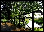 Park, Most, Drzewa