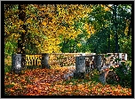 Most, Rzeka, Liście, Park, Jesień