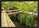 Park, Most, Rzeka