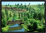 Most, Covered Bridge, Washington, Drzewa