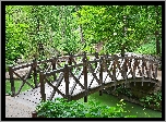 Las, Mostek, Rzeczka